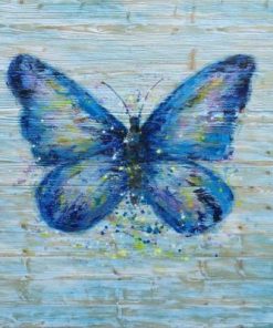 Blue Butterfly Paint By Numbers