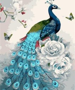 Peacock Birds Paint By Numbers