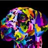 Colorful Dog On Pop Art  Animals Paint By Numbers