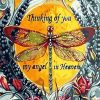 Viceroy Butterfly Animals Paint By Numbers