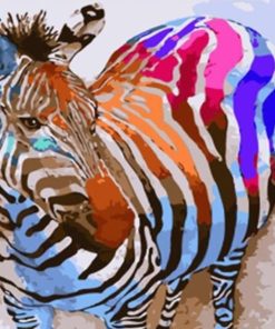 Colorful Zebra Animals - DIY Paint By Numbers - Numeral Paint