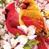 Cardinals Birds Birds Paint By Numbers