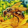 Yellow Bee Paint By Numbers