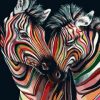 Colorful Zebra Paint By Numbers