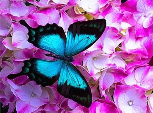 Butterfly On Roses Paint By Numbers
