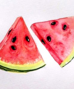 Watermelon Paint By Numbers