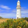Cape Otway Lightstation Lighthouse Australia Paint By Numbers