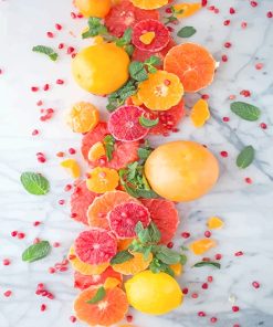 Citrus Pomegranate Salad Paint By Numbers
