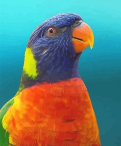 Colorful Parrot Paint By Numbers