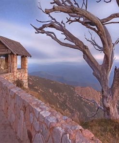 Mount Buffalo National Park Australia Paint By Numbers