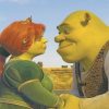 Shrek And Fiona Art Paint By Numbers