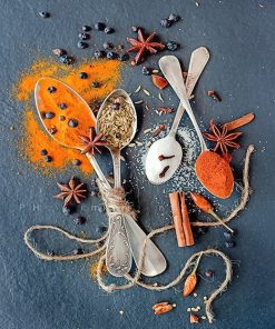 Spices Creative Photography Paint By Numbers