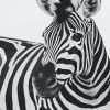 Zebra Black And White Paint By Numbers