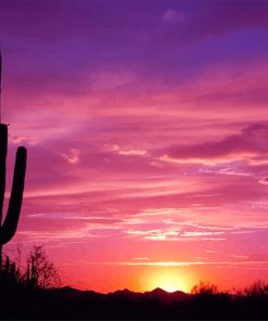 Beautiful Cactus Sunset Paint By Numbers