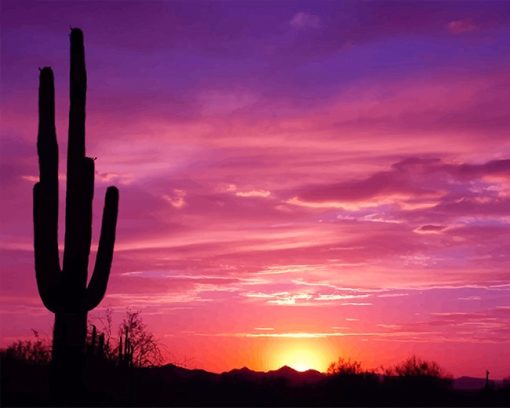 Beautiful Cactus Sunset Paint By Numbers