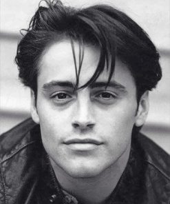 Black And White Joey Tribbiani Paint By Numbers