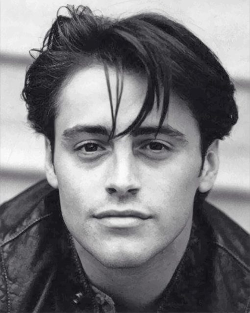 Black And White Joey Tribbiani Paint By Numbers