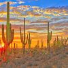 Cactus Arizona Desert Paint By Numbers