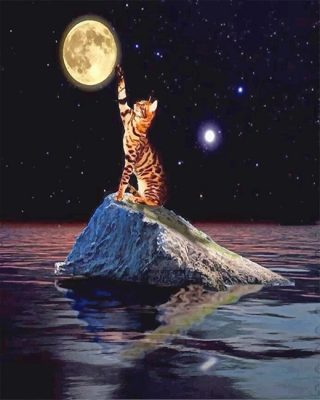 Cat Touching Moon Paint By Numbers