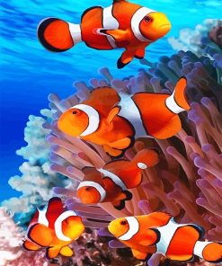 Colorful Clownfish Paint By Numbers