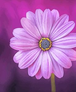 Purple Flower Paint By Numbers