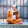 Harley Quinn Reading Paint By Numbers