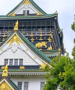 Japan Osaka Castle Paint By Numbers