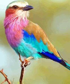 Lilac Breasted Roller Paint By Numbers