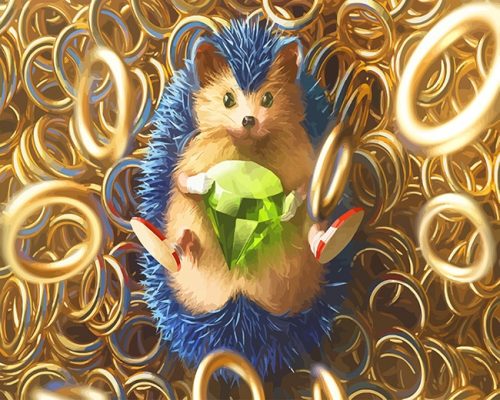 Sonic The Hedge Paint By Numbers