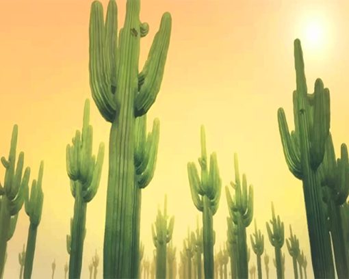 Sunny Day Cactus Paint By Numbers