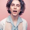 Timothee Chalamet Photoshoot Paint By Numbers