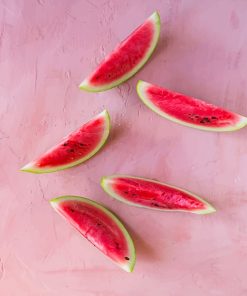 Watermelon Photography Paint By Numbers