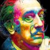 Colorful Salvador Dali Portrait Paint By Numbers