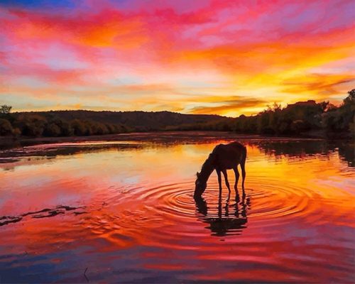 Horse Sunset Paint By Numbers