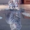 Kitty Tiger Paint By Numbers