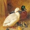 Mallard Ducks Art Paint By Numbers
