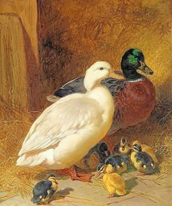 Mallard Ducks Art Paint By Numbers