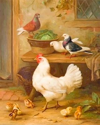 Pigeon And Chicken Paint By Numbers