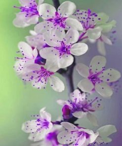 Purple Orchid Paint By Numbers