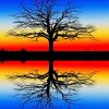 Tree Reflection In Water Paint By Numbers