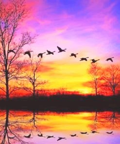 Waterfowl Sunset Paint By Numbers