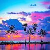 Beautiful Sunset View Palms Paint By Numbers