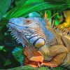 Big Iguana Paint By Numbers