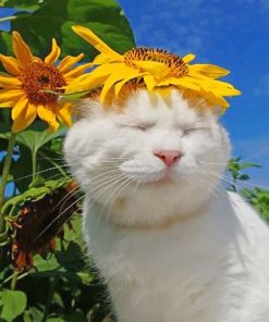 Cat With Sun Flowers Paint By Numbers