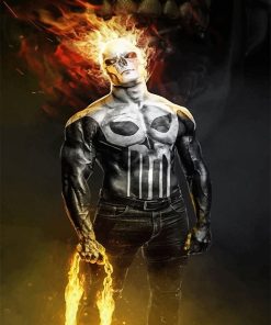 Frank Castle Ghost Rider Paint By Numbers