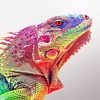 Rainbow Iguana Paint By Numbers
