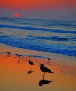 Birds In Sea paint by numbers