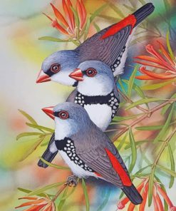 birds-paint-by-number