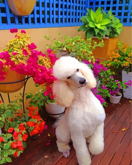 white-poodle-paint-by-numbers