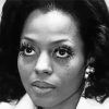 Black And White Diana Ross Paint By Numbers